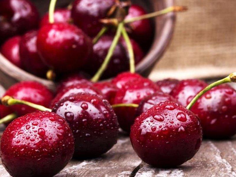 Вишня купить саженцы из питомника в Муроме